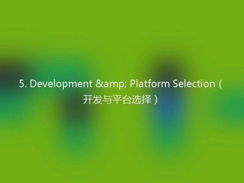 5. Development & Platform Selection（开发与平台选择）