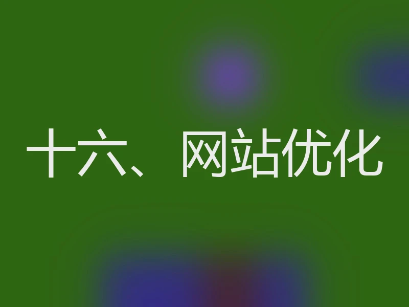 十六、网站优化