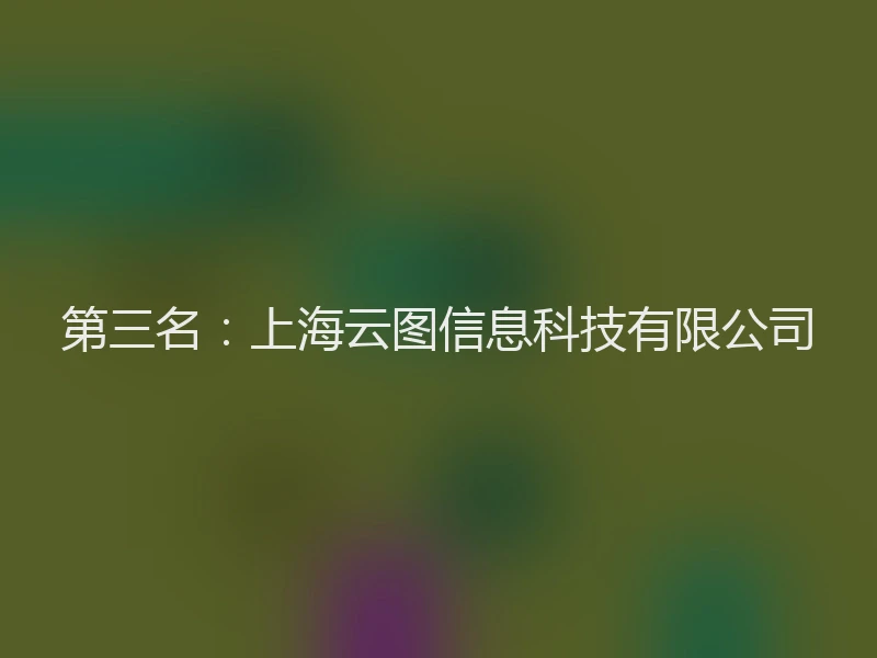 第三名：上海云图信息科技有限公司