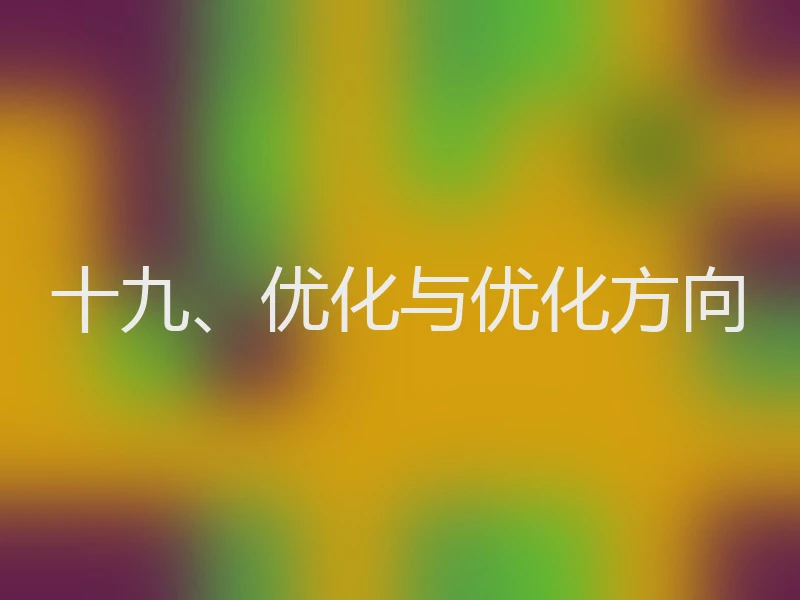 十九、优化与优化方向