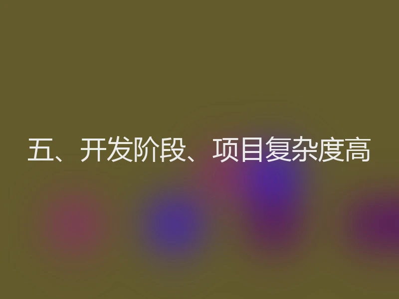 五、开发阶段、项目复杂度高