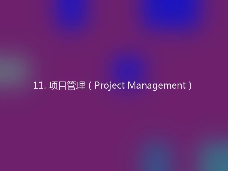 11. 项目管理(Project Management)