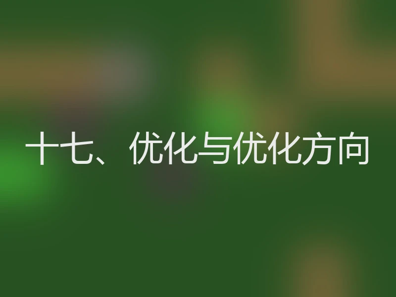 十七、优化与优化方向