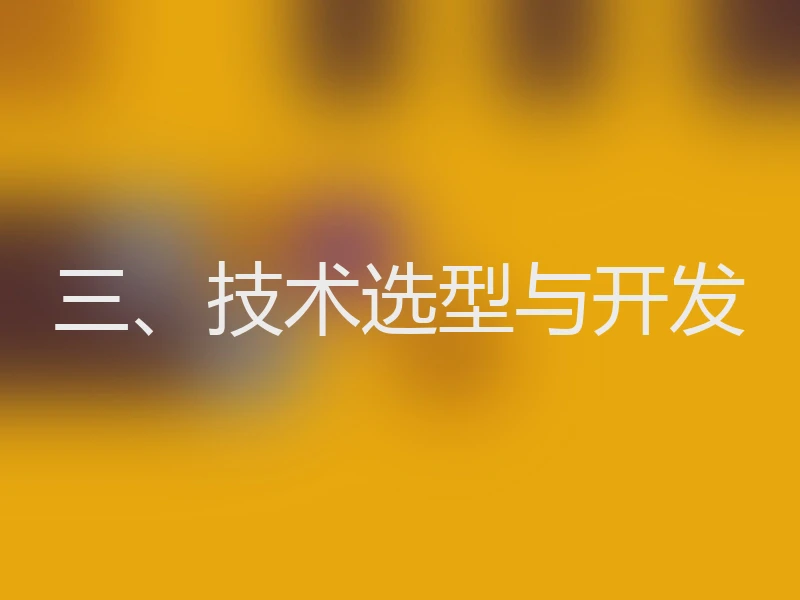 三、技术选型与开发