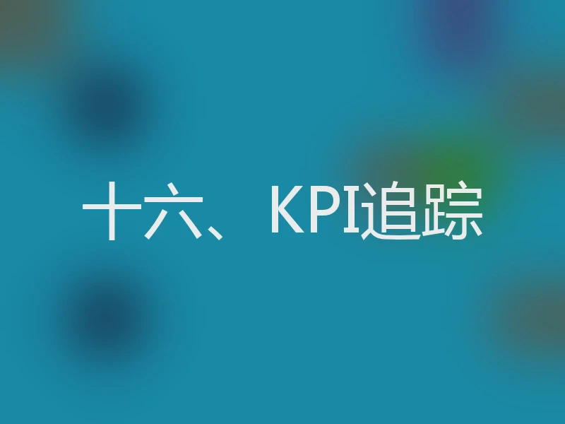 十六、KPI追踪