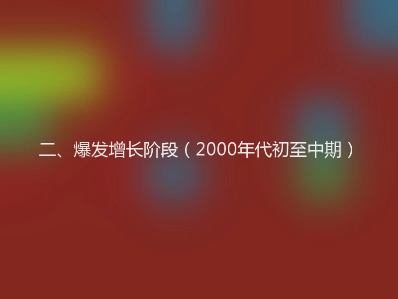 二、爆发增长阶段（2000年代初至中期）