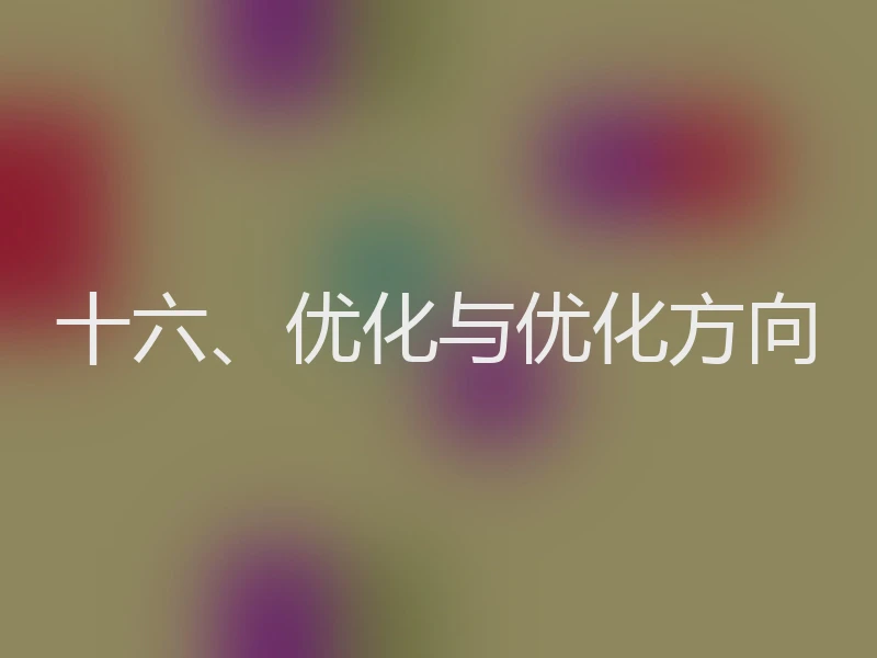 十六、优化与优化方向