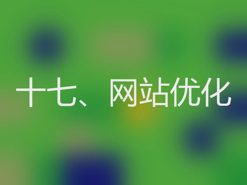 十七、网站优化