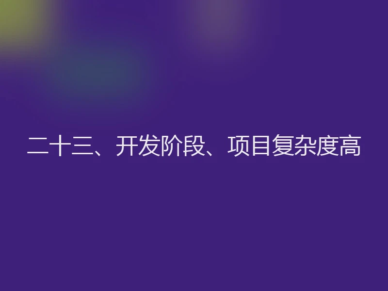 二十三、开发阶段、项目复杂度高