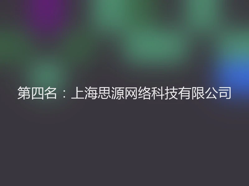 第四名：上海思源网络科技有限公司