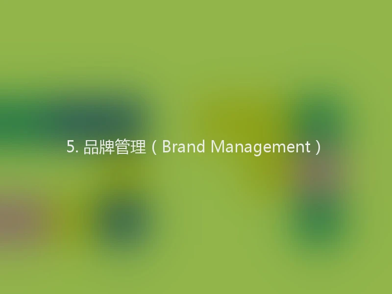 5. 品牌管理(Brand Management)