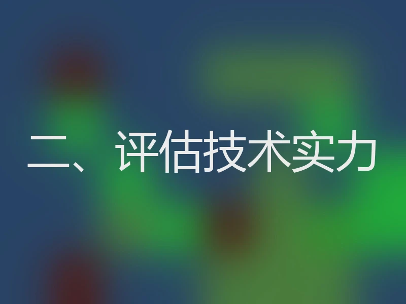 二、评估技术实力