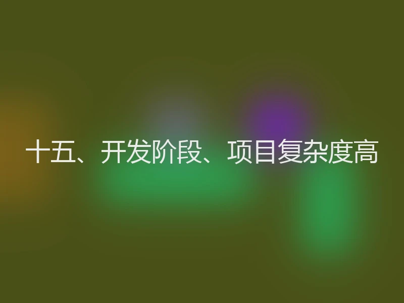 十五、开发阶段、项目复杂度高