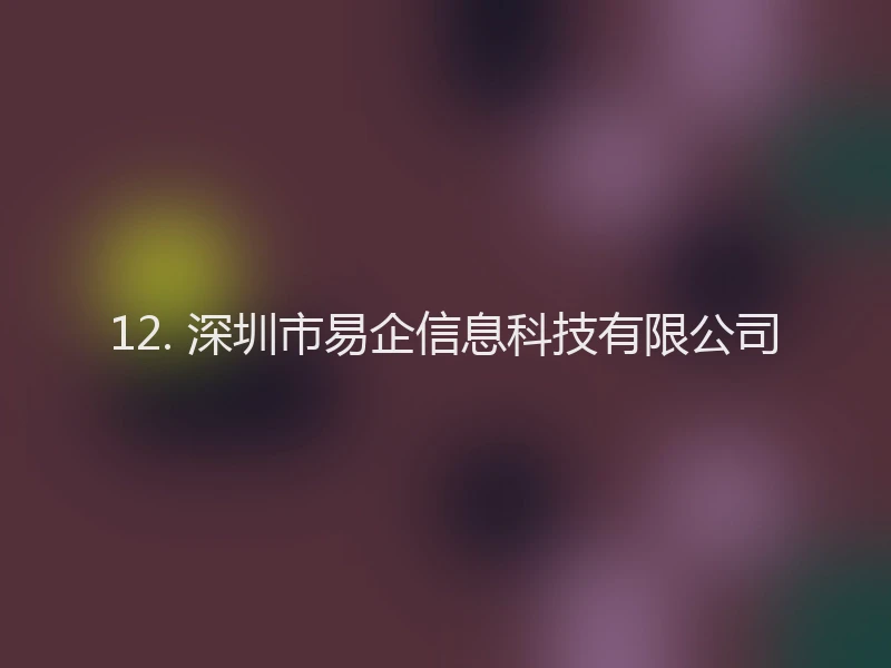 12. 深圳市易企信息科技有限公司