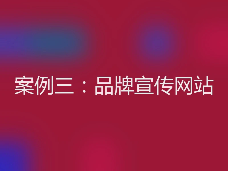 案例三：品牌宣传网站