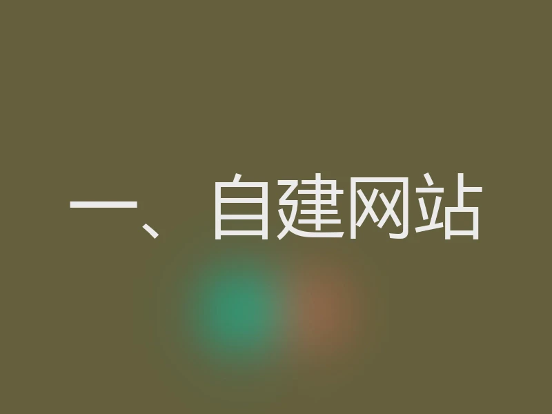 一、自建网站