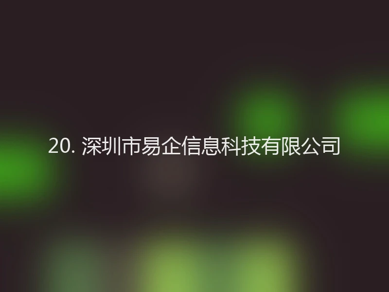 20. 深圳市易企信息科技有限公司
