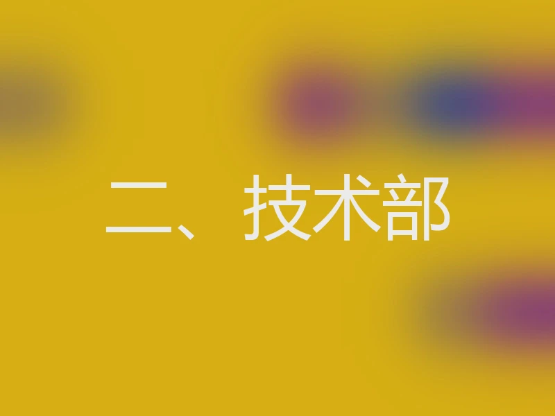 二、技术部