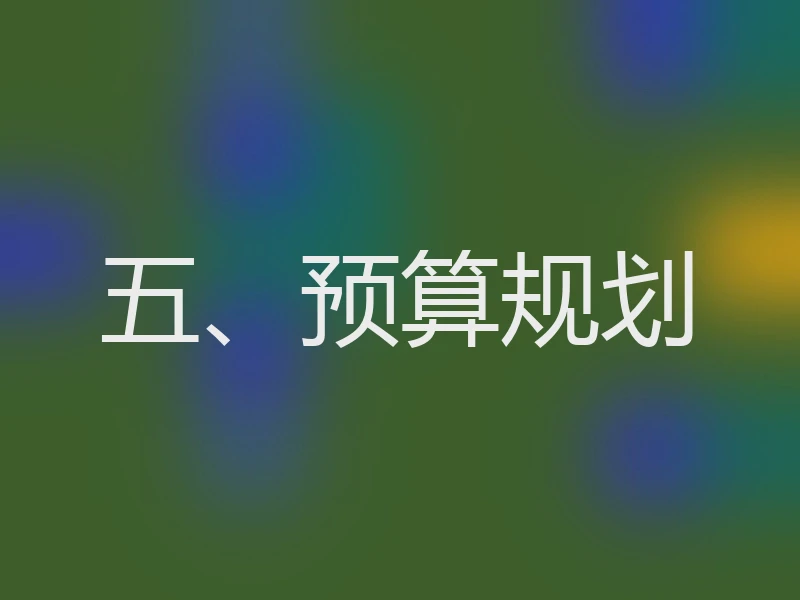 五、预算规划