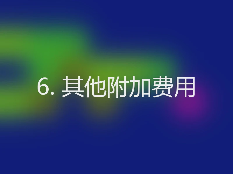 6. 其他附加费用