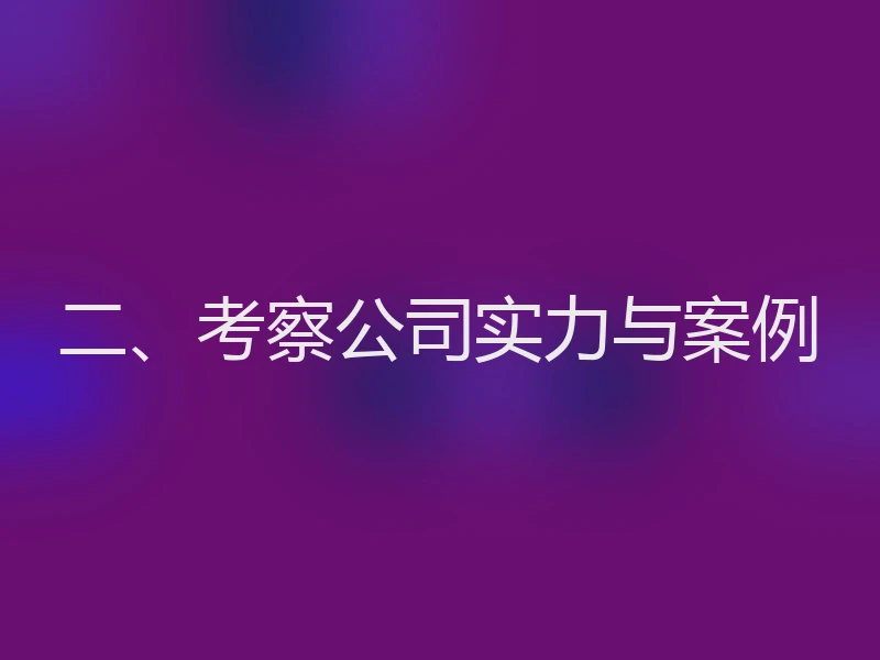 二、考察公司实力与案例
