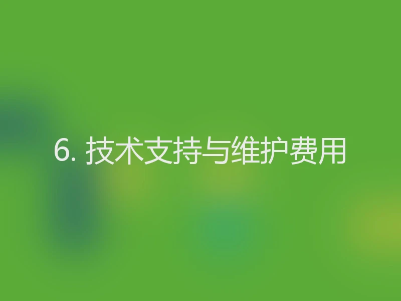 6. 技术支持与维护费用