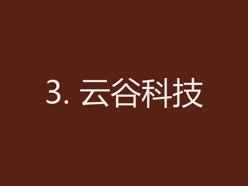 3. 云谷科技