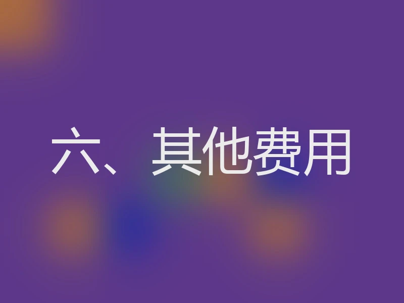 六、其他费用