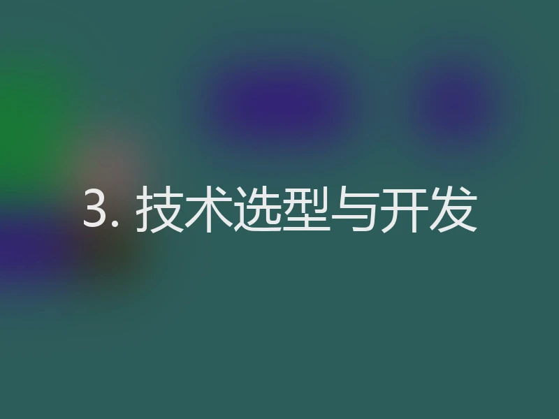 3. 技术选型与开发