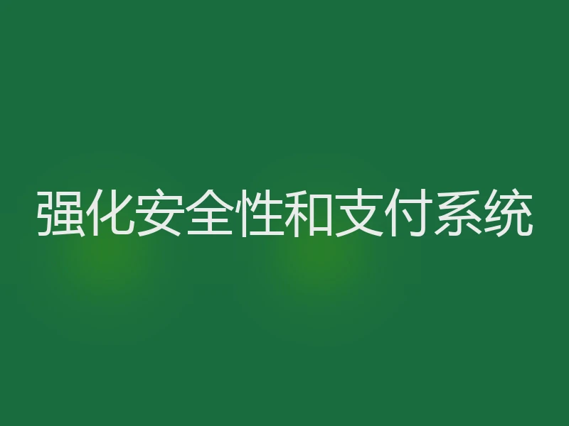 强化安全性和支付系统
