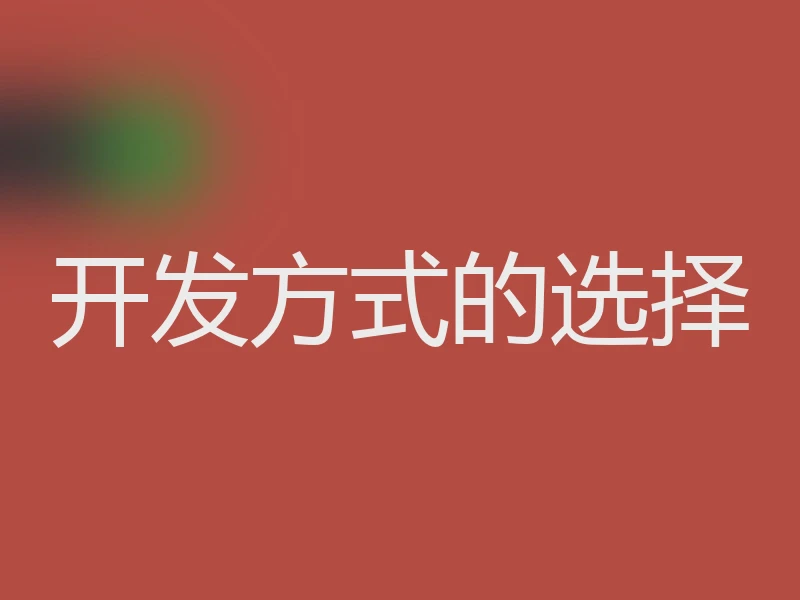 开发方式的选择