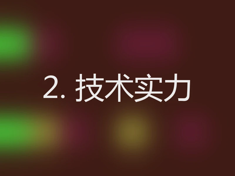 2. 技术实力