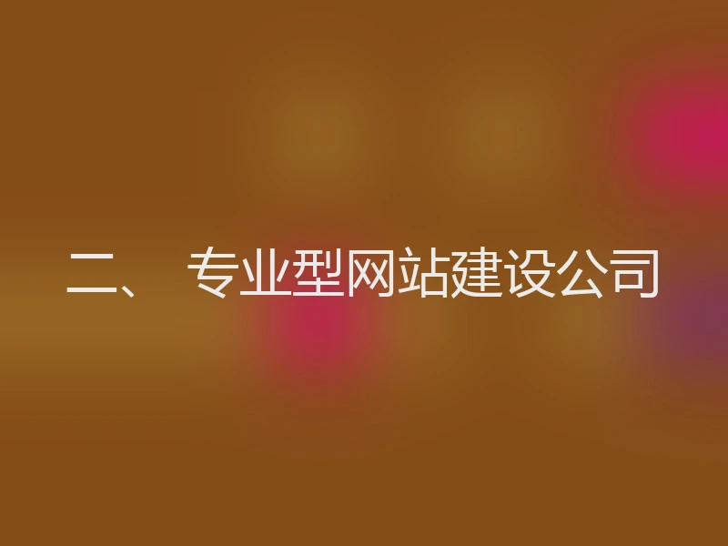 二、 专业型网站建设公司