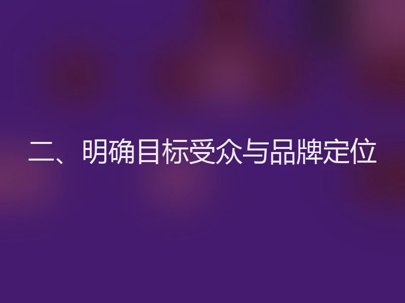 二、明确目标受众与品牌定位