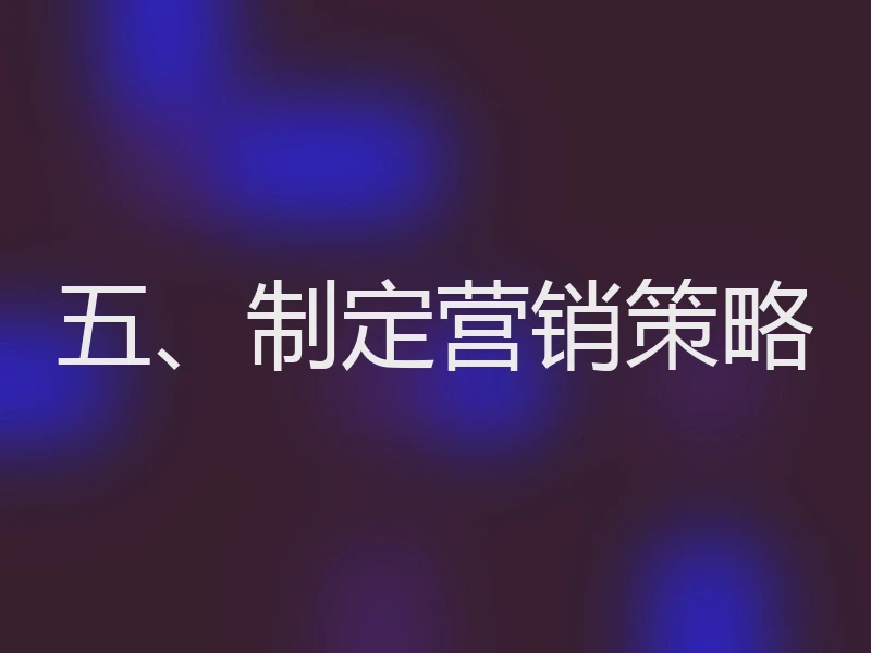 五、制定营销策略