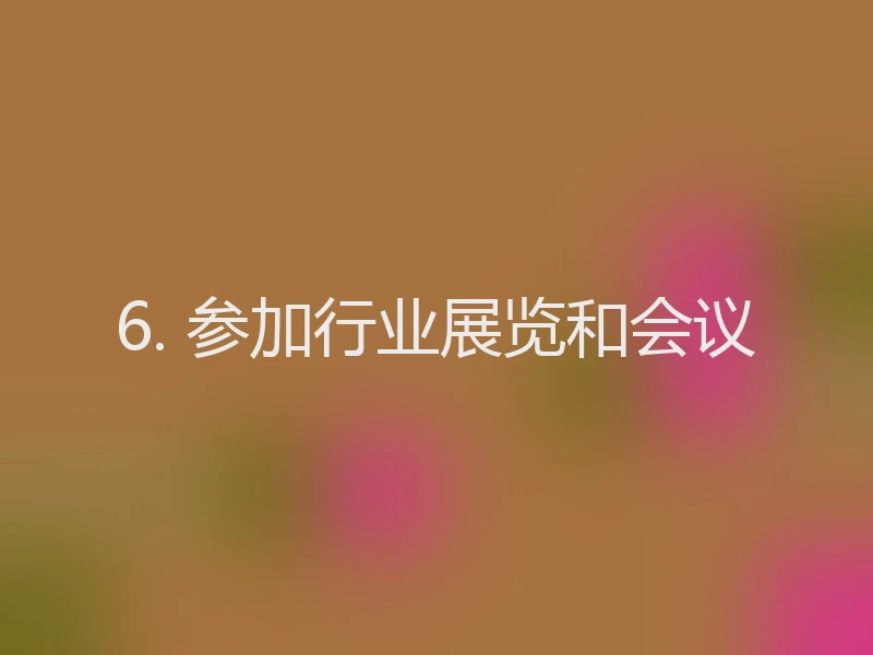 6. 参加行业展览和会议