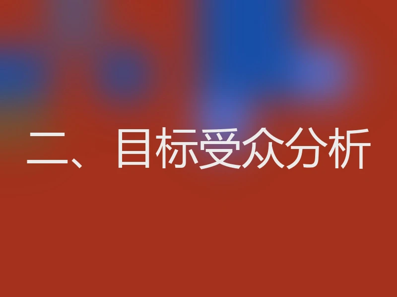 二、目标受众分析
