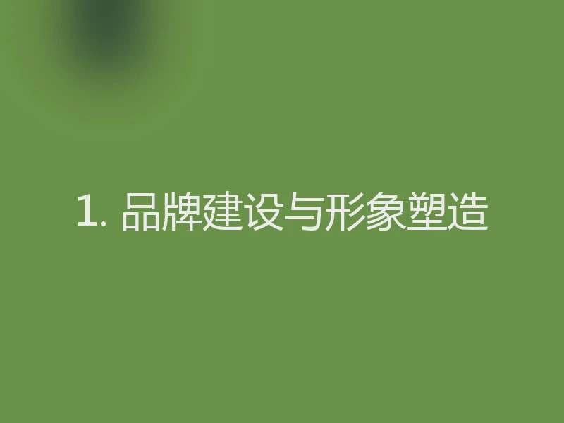 1. 品牌建设与形象塑造