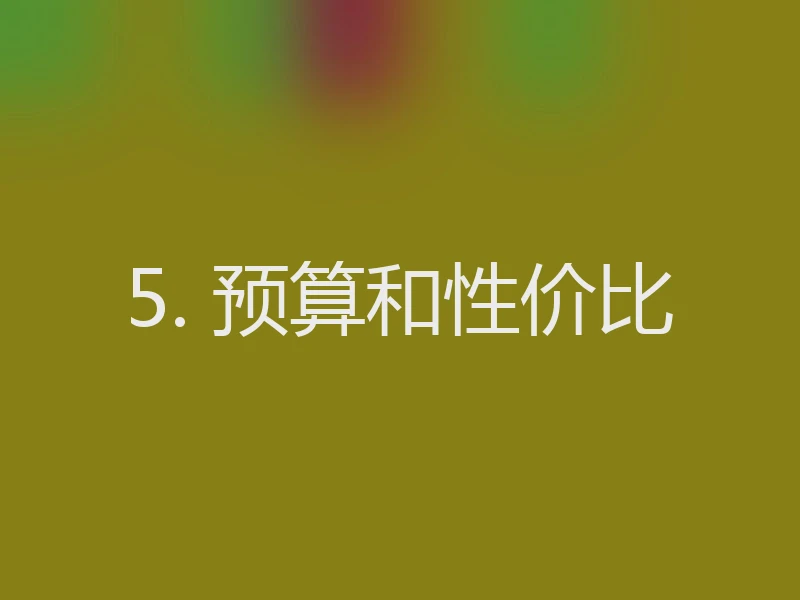 5. 预算和性价比