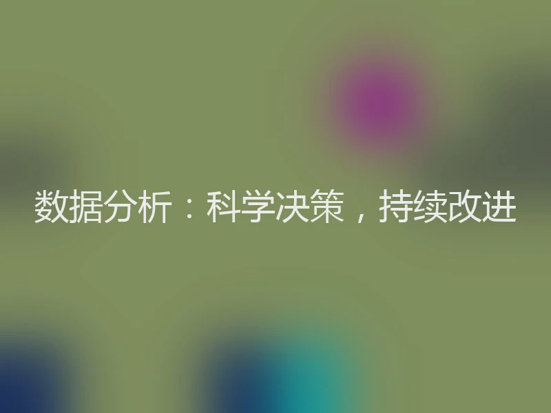 数据分析：科学决策，持续改进