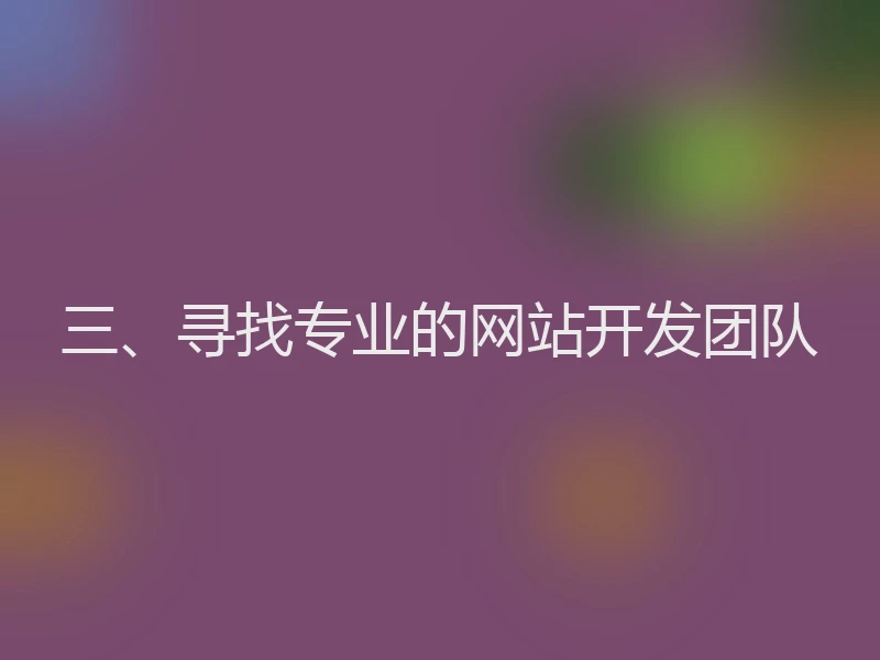 三、寻找专业的网站开发团队