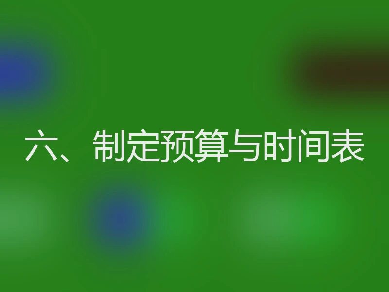 六、制定预算与时间表