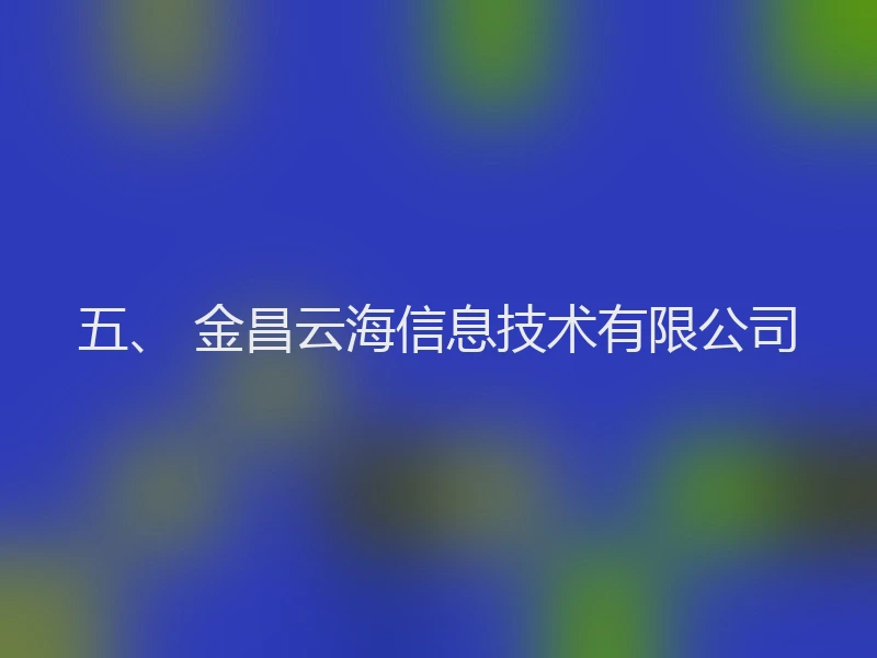 五、 金昌云海信息技术有限公司