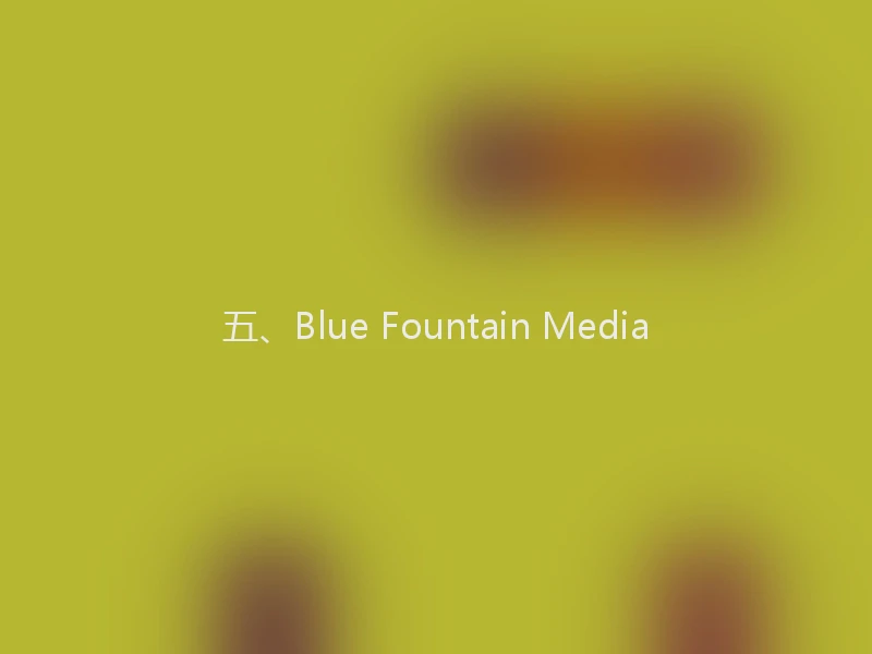 五、Blue Fountain Media