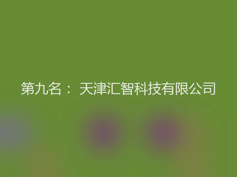 第九名： 天津汇智科技有限公司