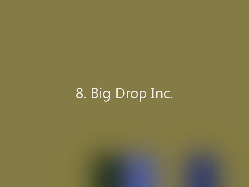 8. Big Drop Inc.