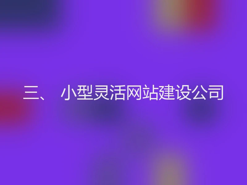 三、 小型灵活网站建设公司