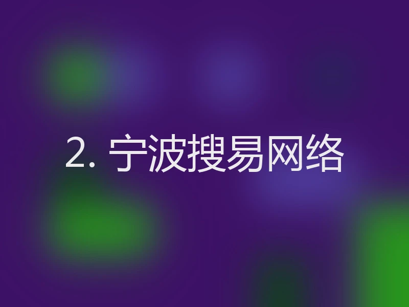 2. 宁波搜易网络