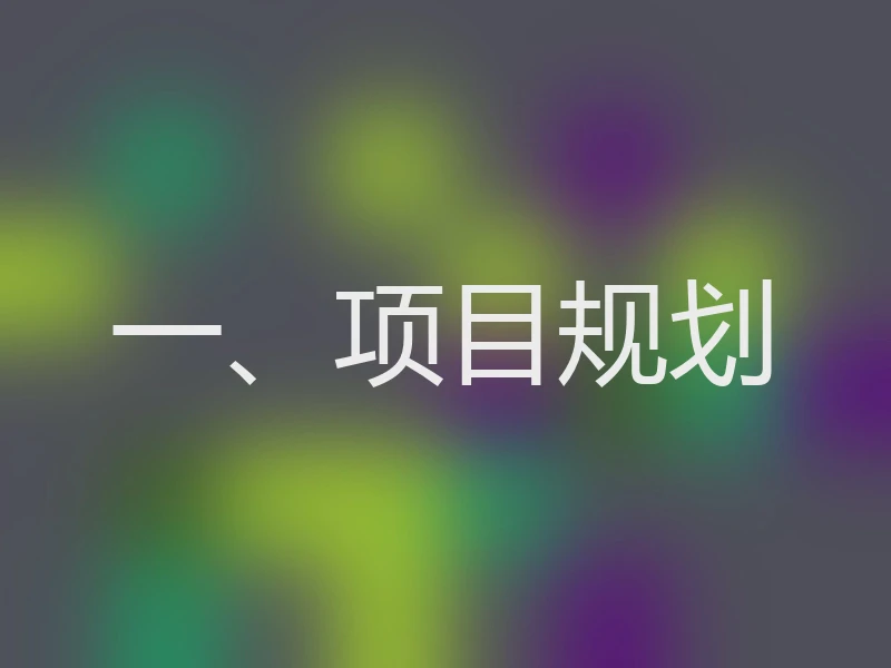 一、项目规划