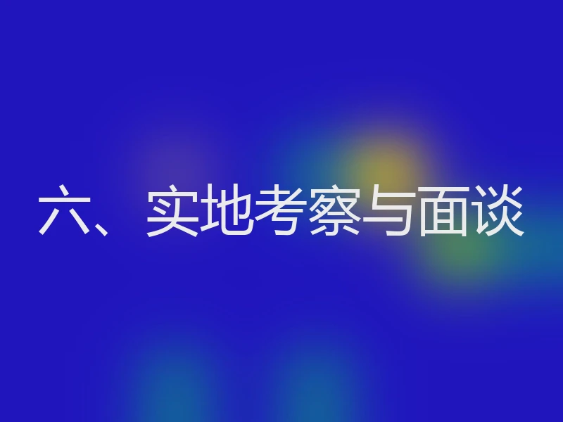 六、实地考察与面谈